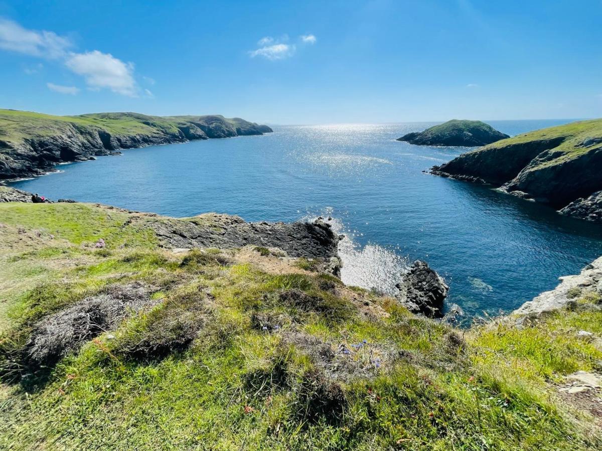 The Dairy @ Trefechan Wen Goodwick Luaran gambar