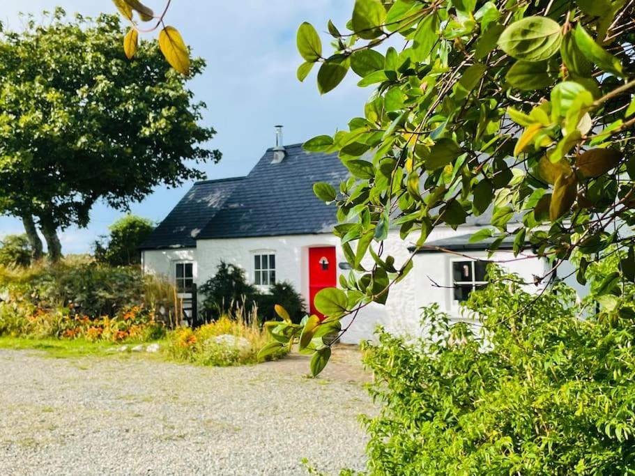 The Dairy @ Trefechan Wen Goodwick Luaran gambar