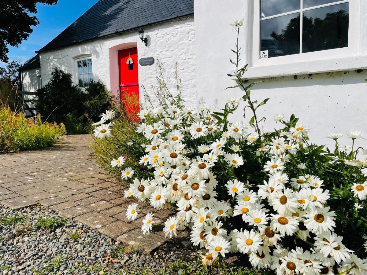 The Dairy @ Trefechan Wen Goodwick Luaran gambar